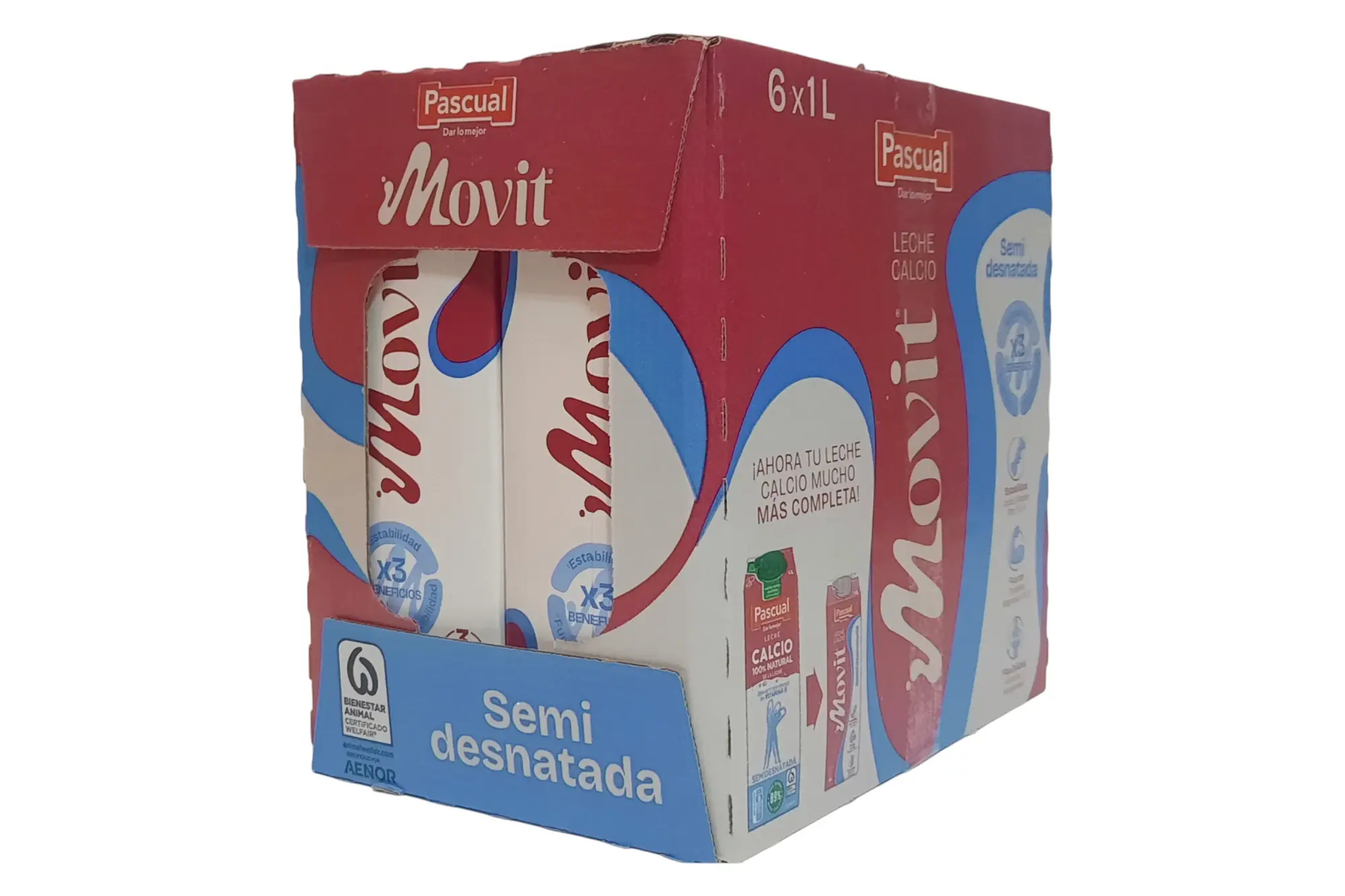 LECHE PASCUAL MOVIT CALCIO SEMI 1L PACK 6
